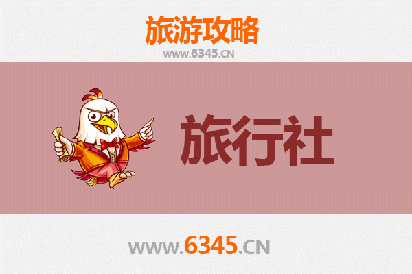 湛江遂溪本地旅行社推荐：探索南国风情，尽享专业服务