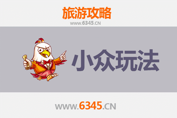 湛江遂溪小众玩法探秘：避开人潮，解锁原生态雷州风情
